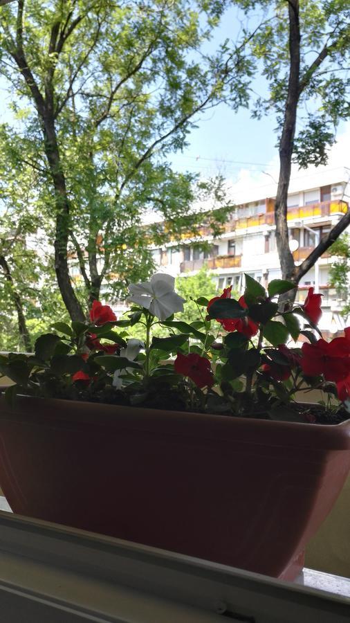 Csipke Apartman Мако Экстерьер фото